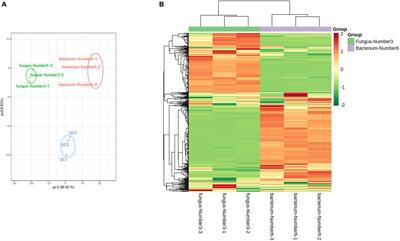 Inoculation With Indigenous Rhizosphere Microbes Enhances Aboveground Accumulation of Lead in Salix integra Thunb. by Improving Transport Coefficients